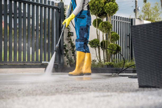 Professional  Pressure Washing Services in Forrest, IL